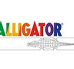 alligator