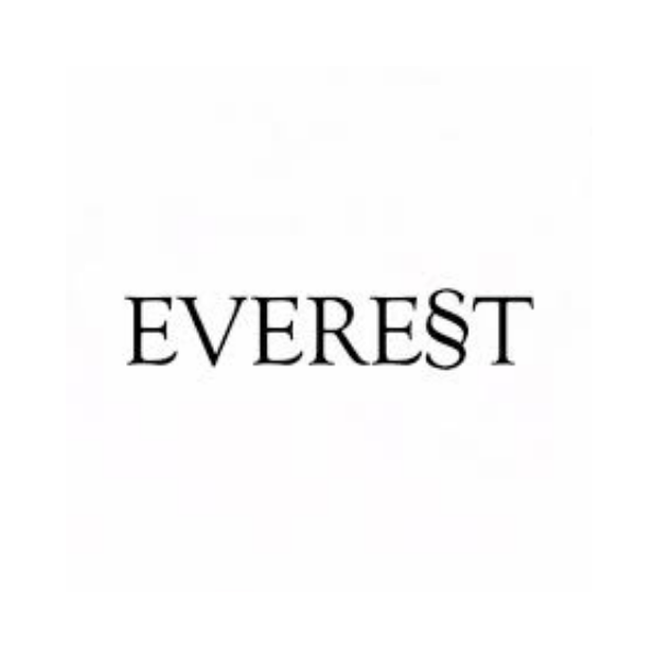 Everest Yayınları